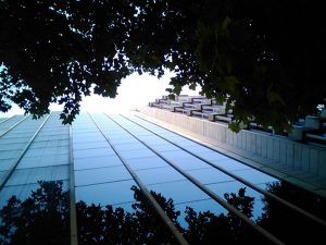 Limpieza cristales edificio VISIONLAB