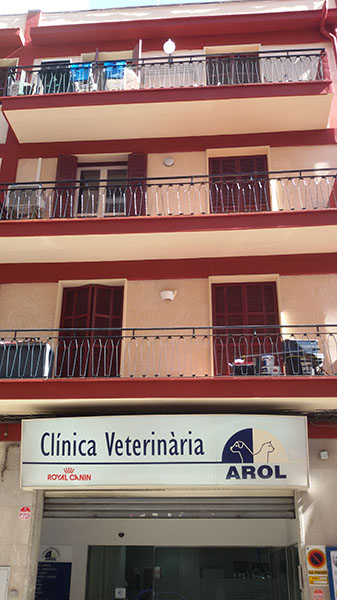 Aplicación de la pintura en la fachada renovada